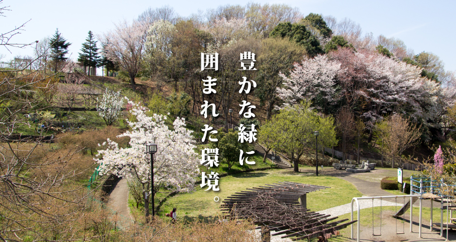 豊かな緑に囲まれた環境。