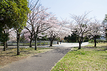 奈良原公園