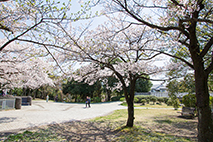 奈良原公園