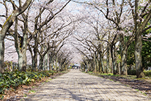 奈良原公園