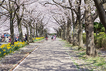 宝野公園