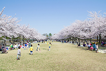 宝野公園