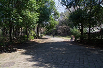 多摩中央公園