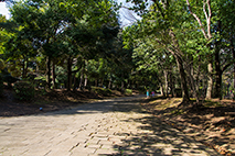 多摩中央公園