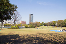 多摩中央公園