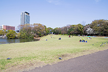 多摩中央公園
